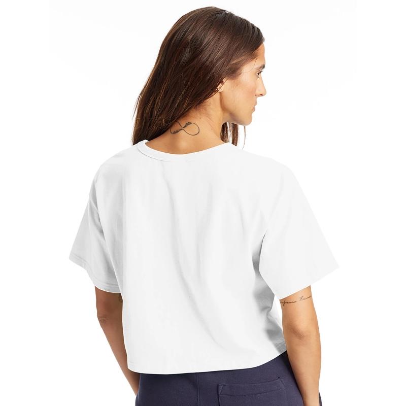 "I love cats" design . Option 4