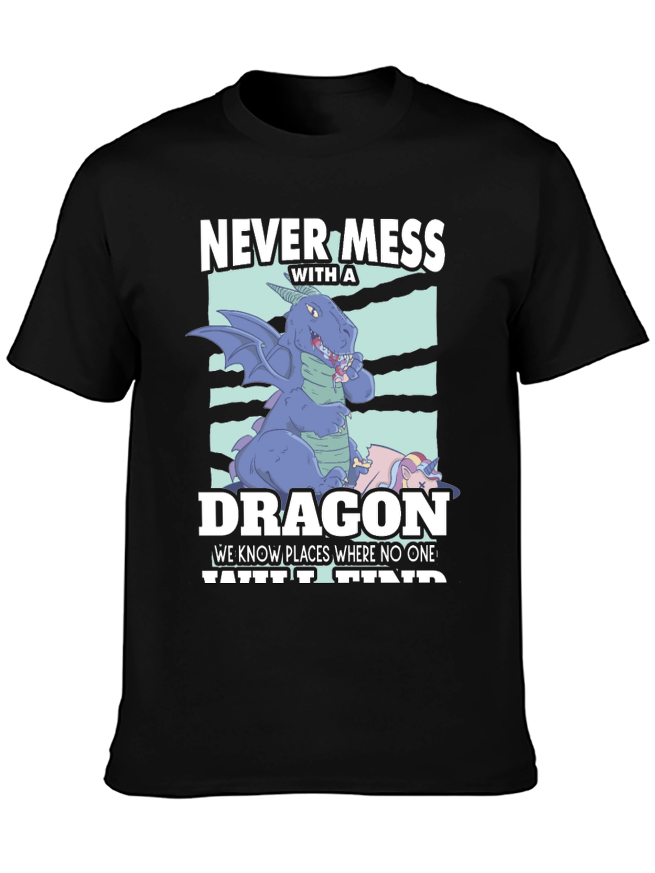 Never Mess with a Dragon T-Shirt