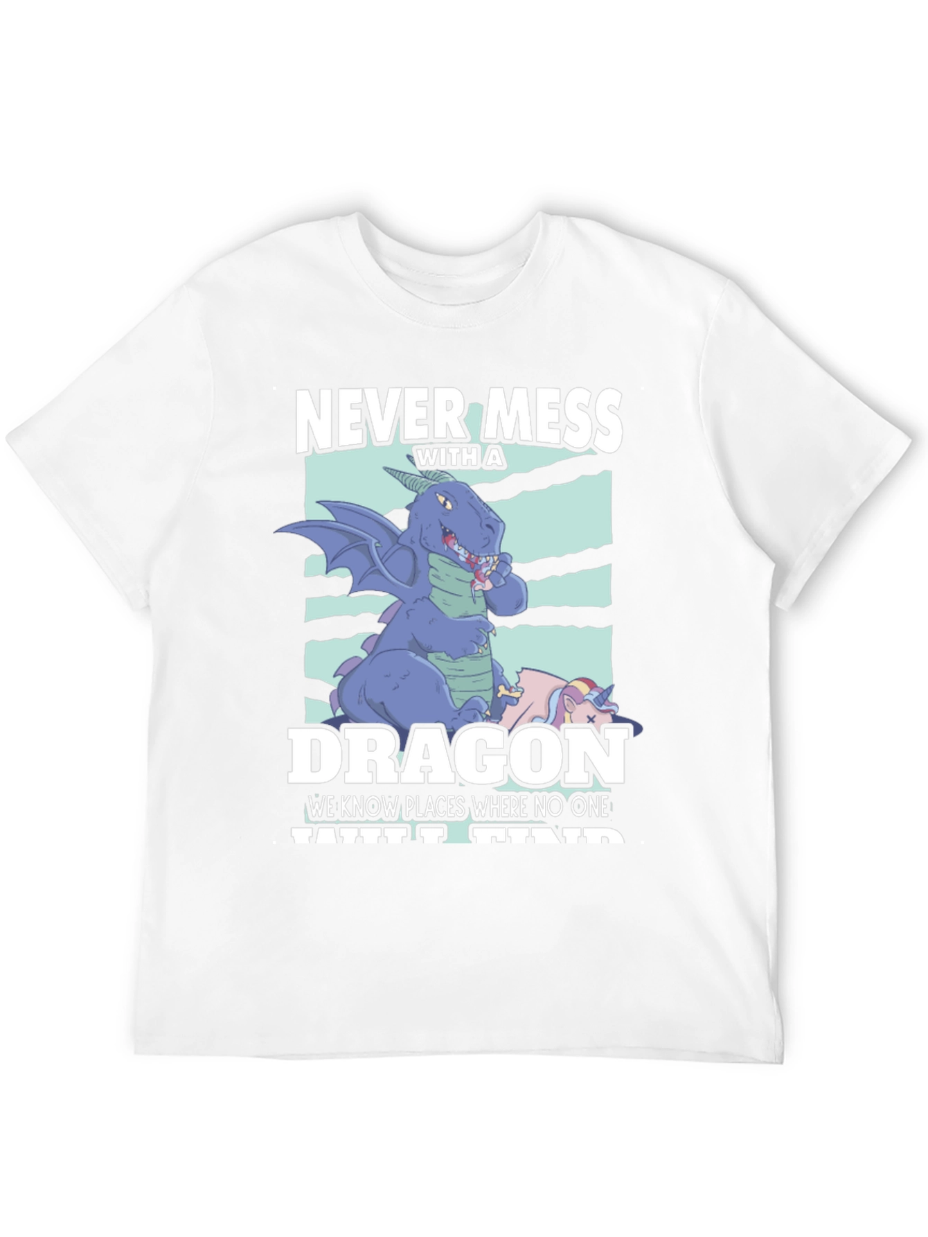 Never Mess with a Dragon T-Shirt