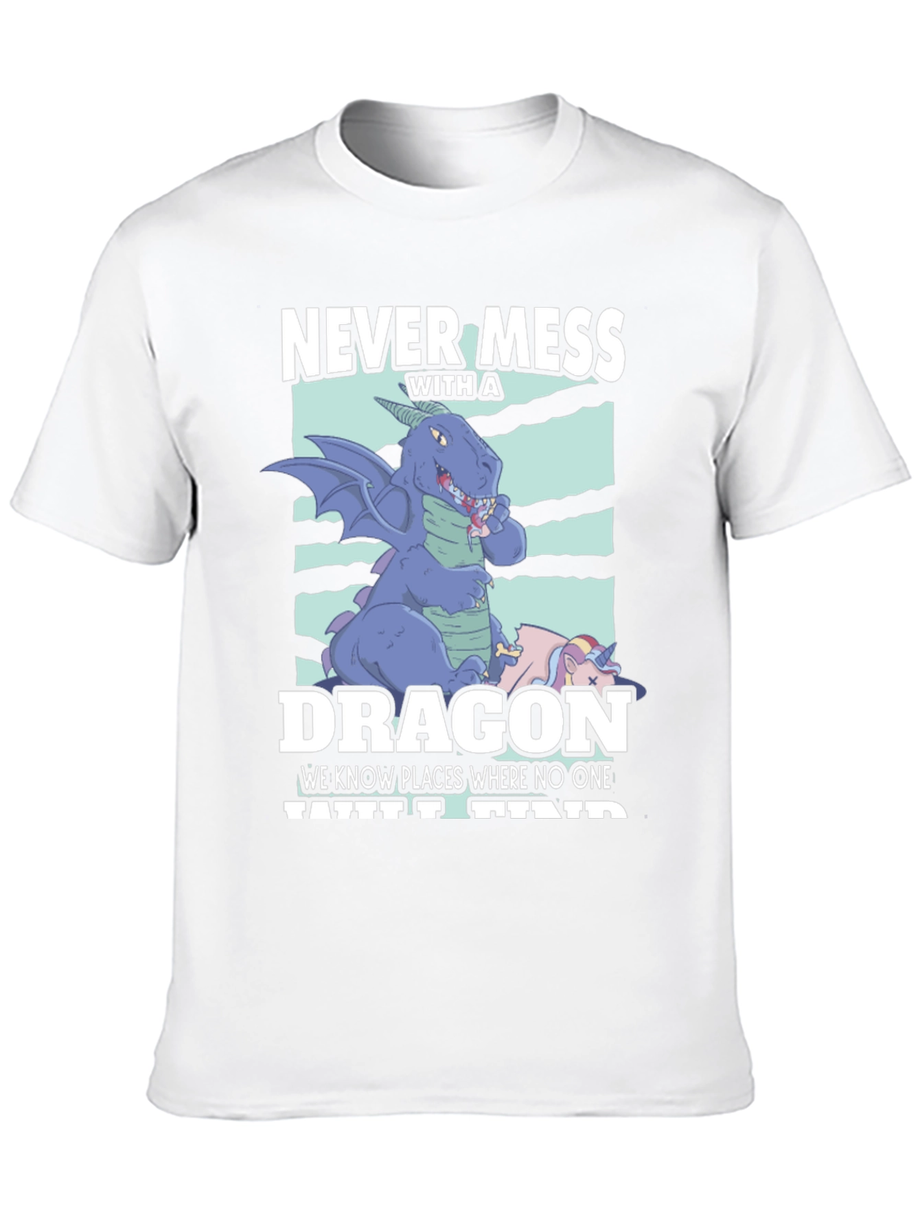 Never Mess with a Dragon T-Shirt