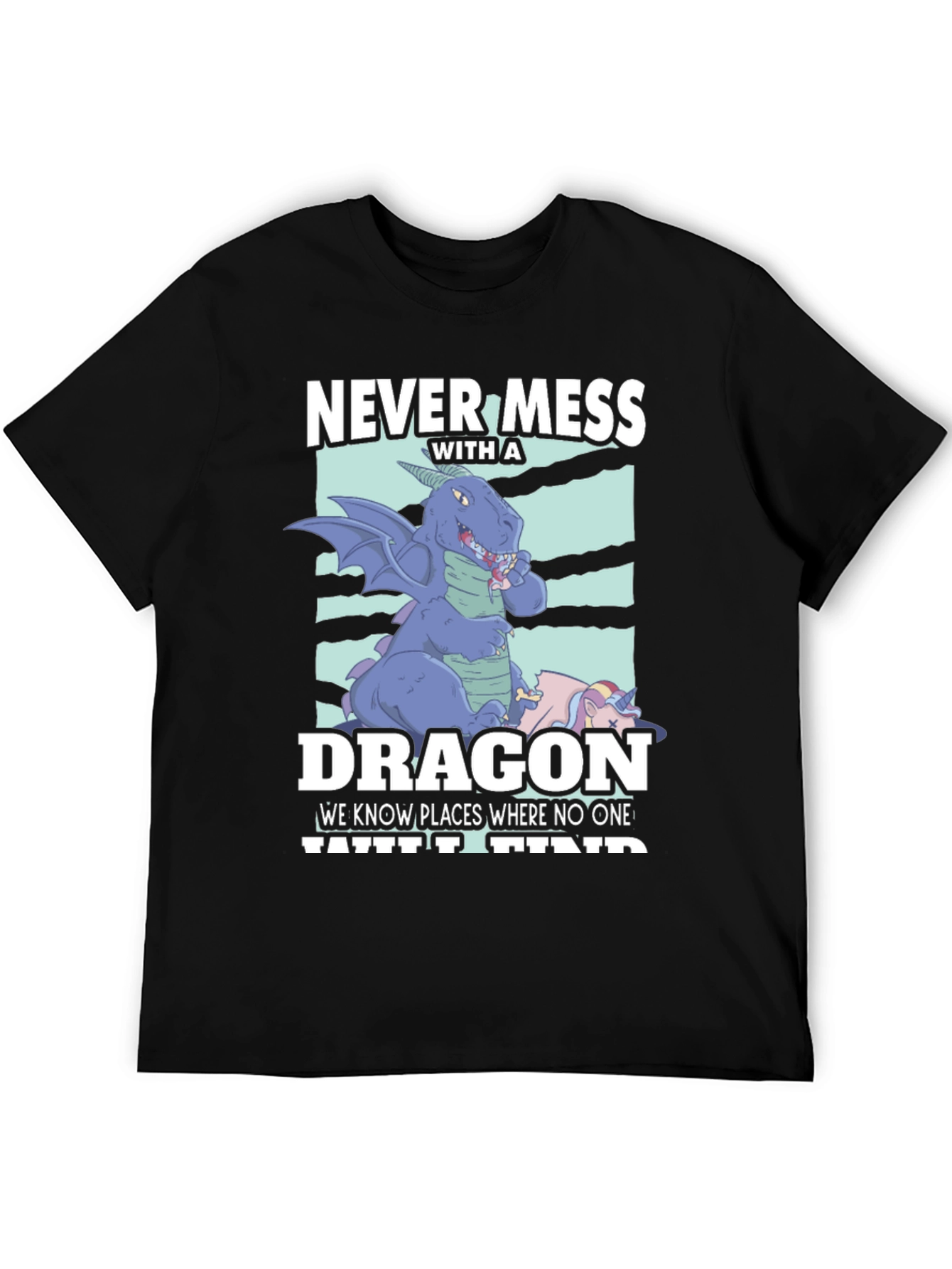 Never Mess with a Dragon T-Shirt