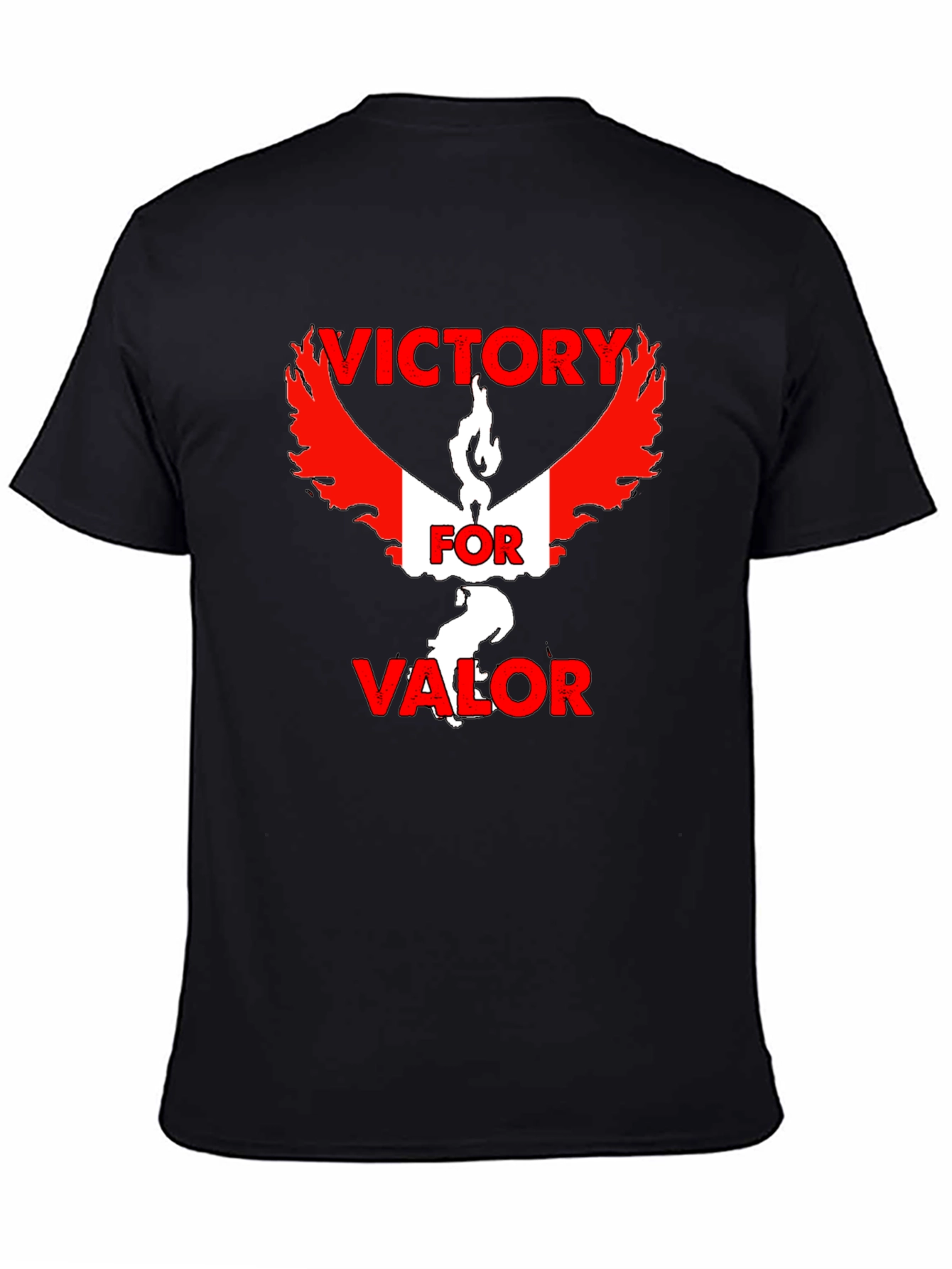 Victory For Valor Graphic Tee