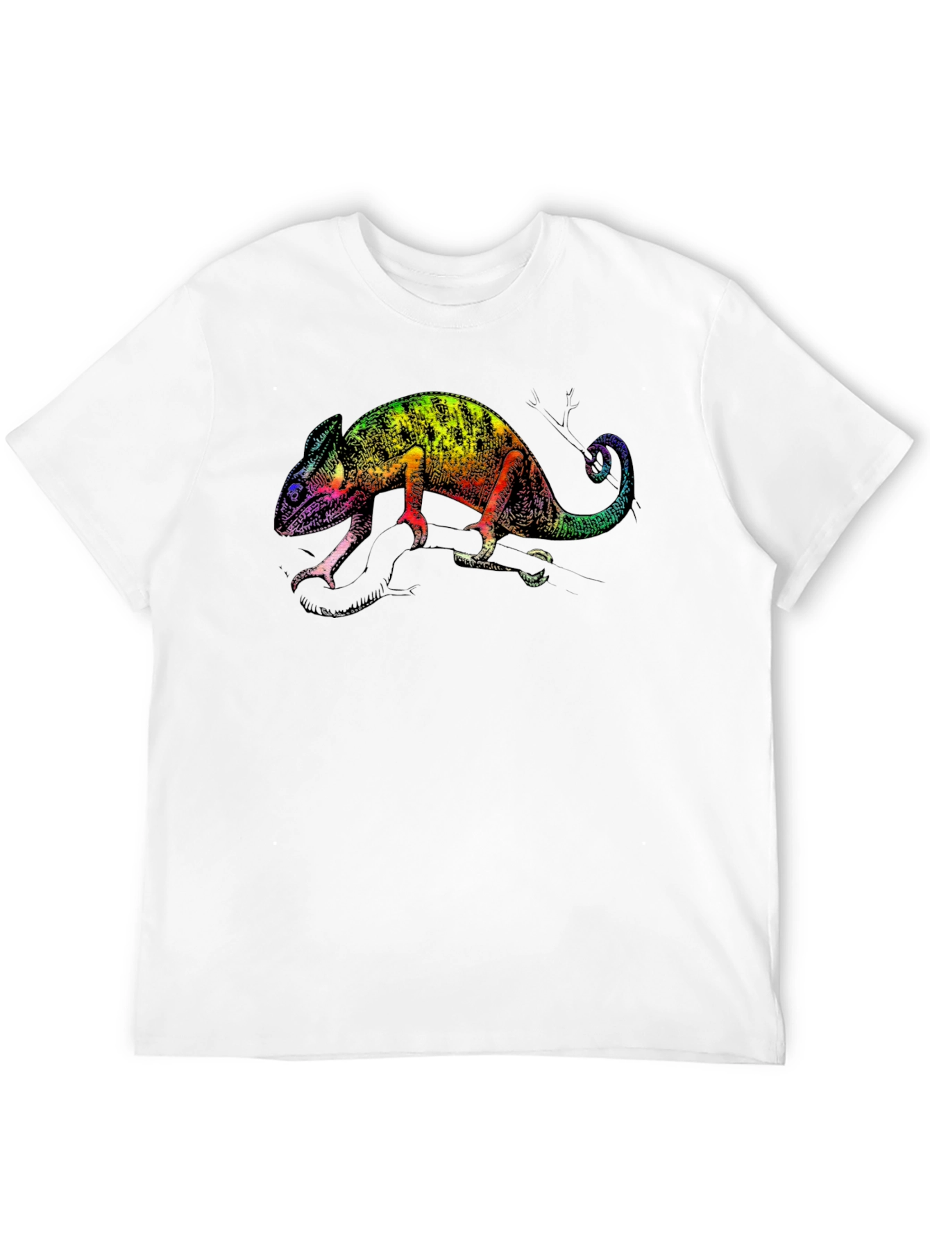 Rainbow Chameleon Graphic Tee