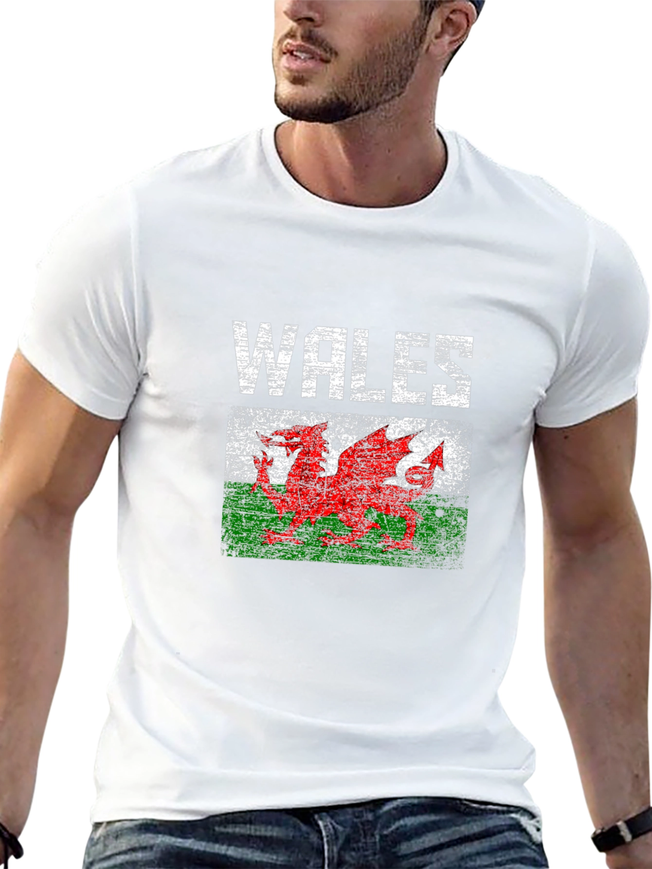 Wales Flag Dragon Graphic T-Shirt