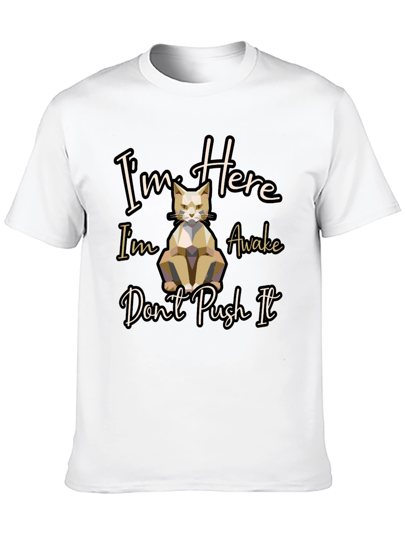 Im Here Awake Dont Push It Cat T-Shirt