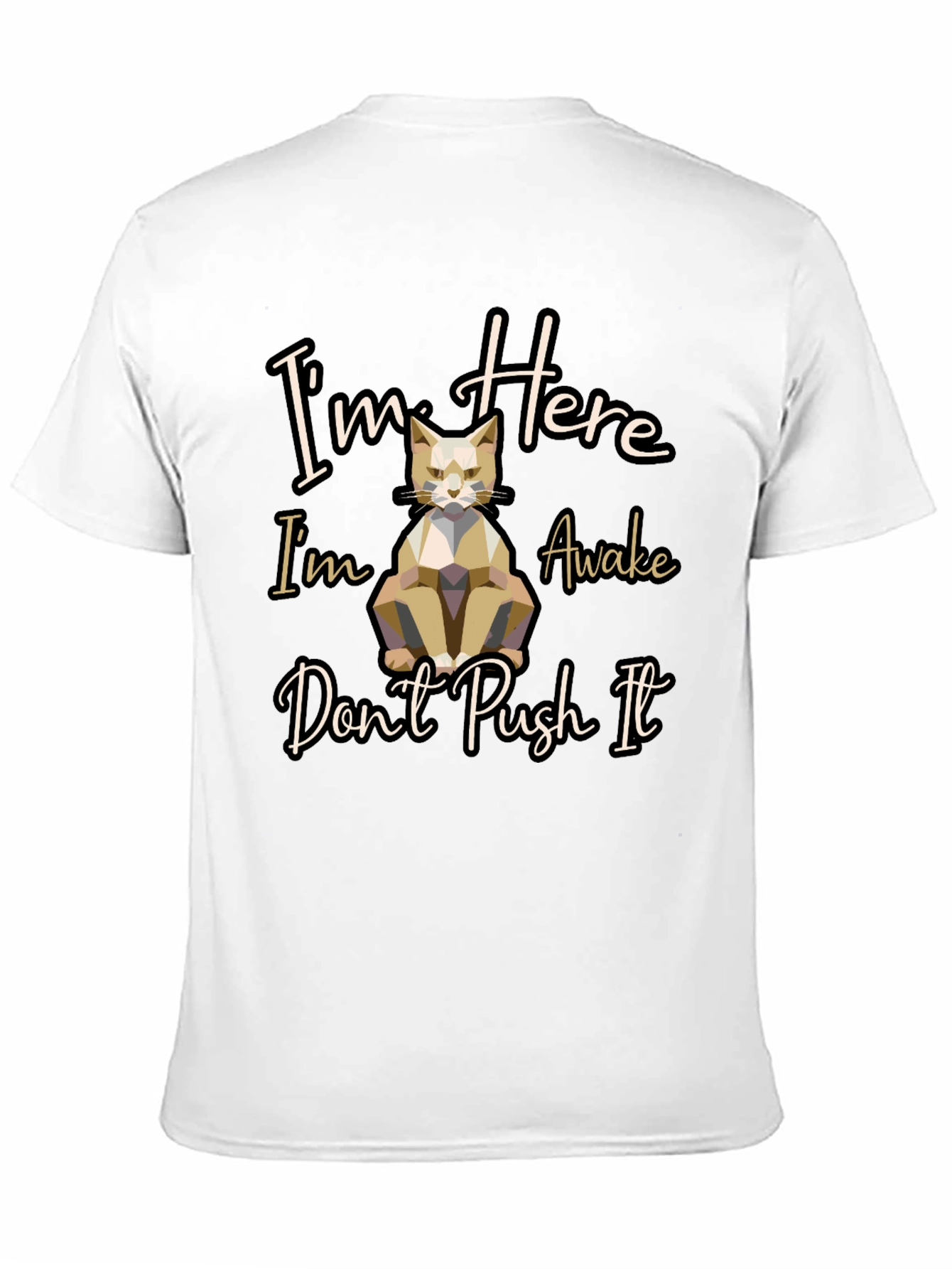 Im Here Awake Dont Push It Cat T-Shirt