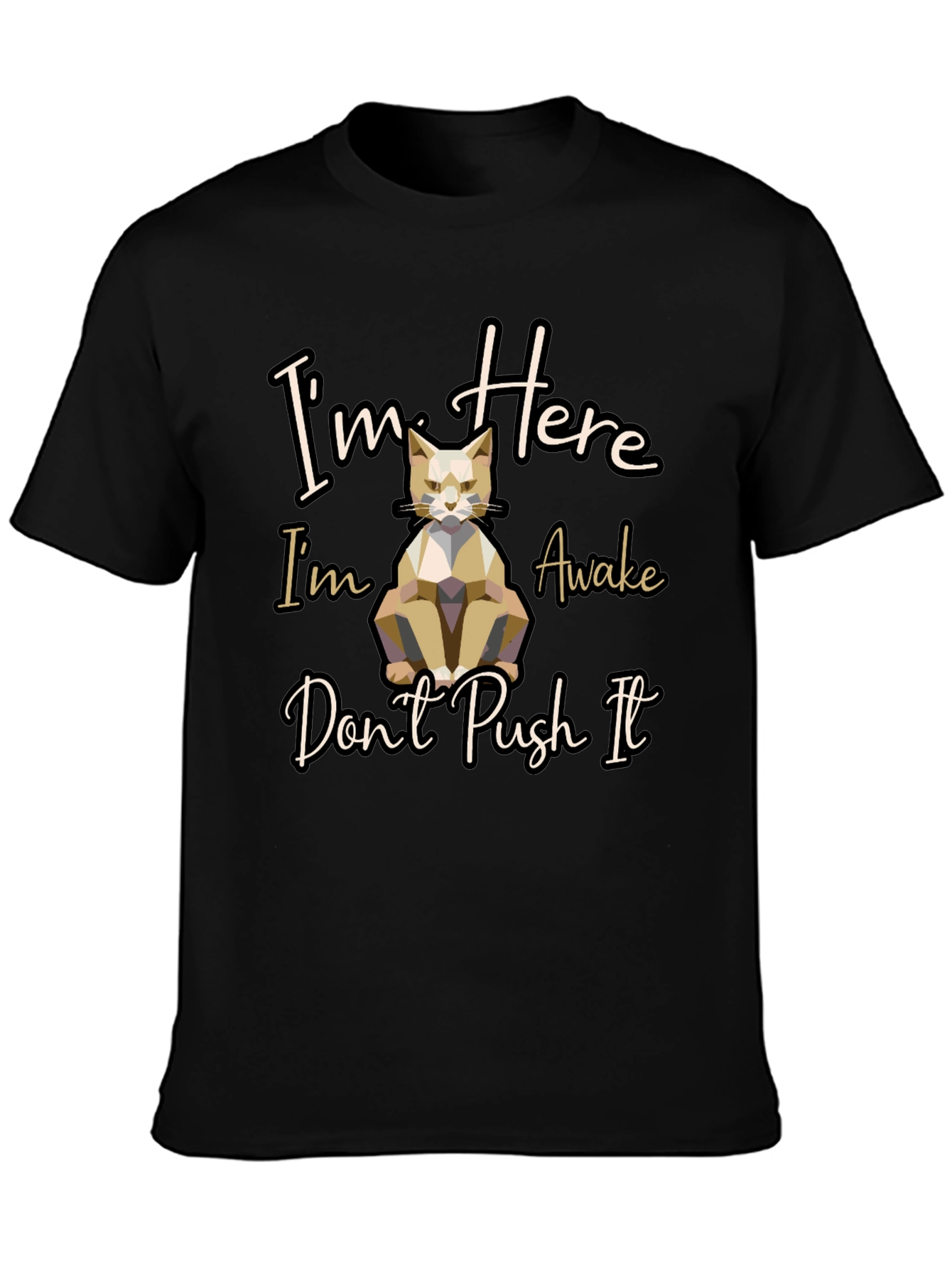 Im Here Awake Dont Push It Cat T-Shirt