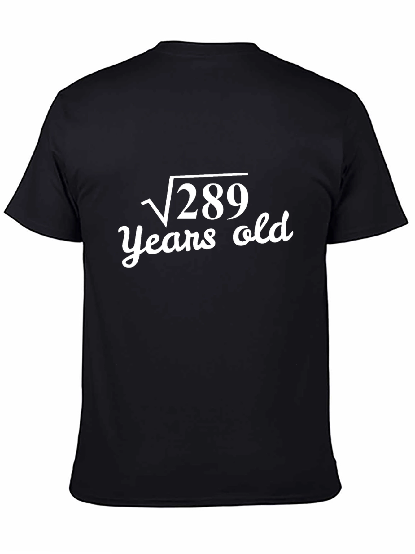 Funny Math Birthday T-Shirt - Square Root of 289