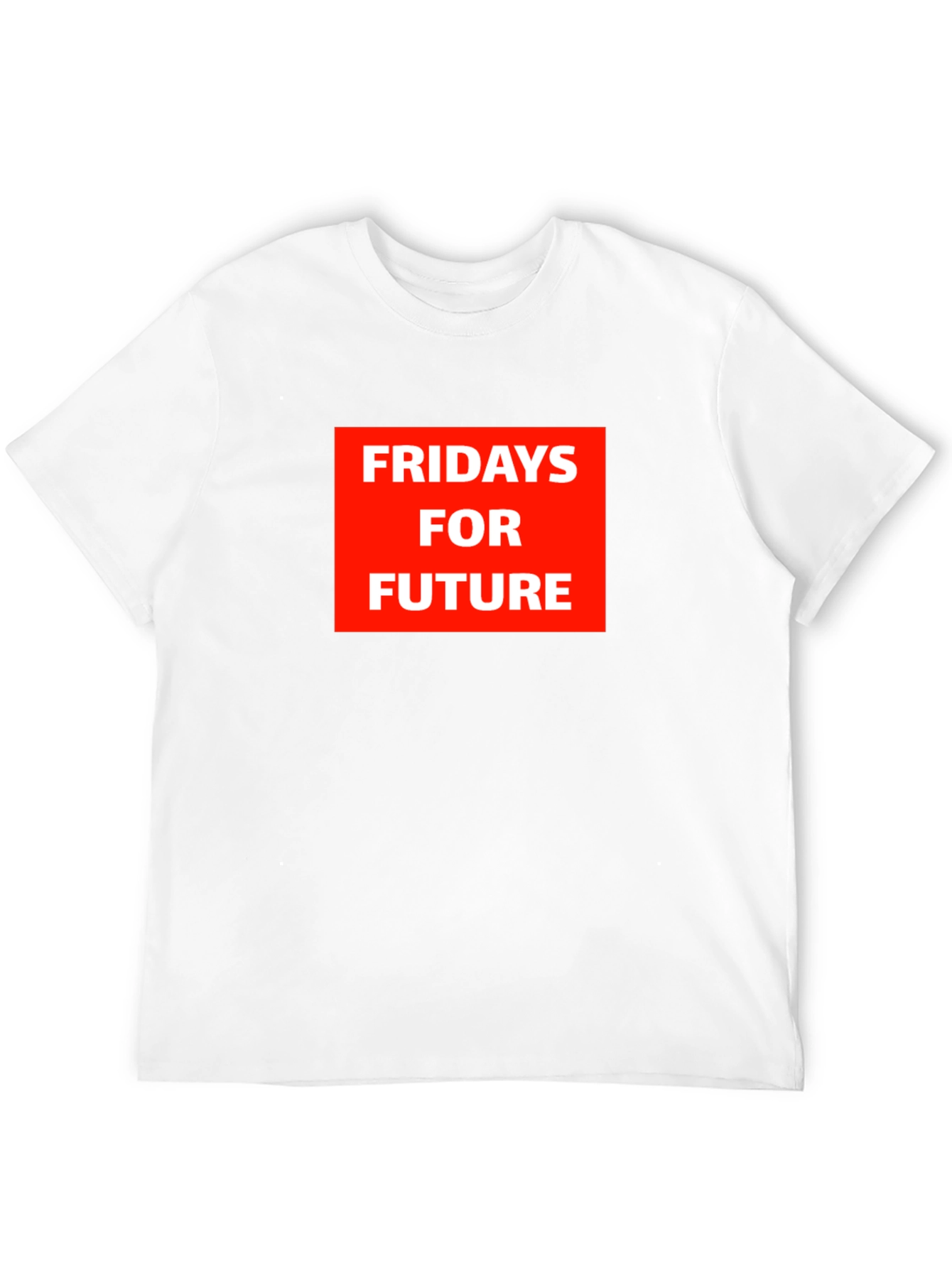 Fridays for Future Graphic Tee