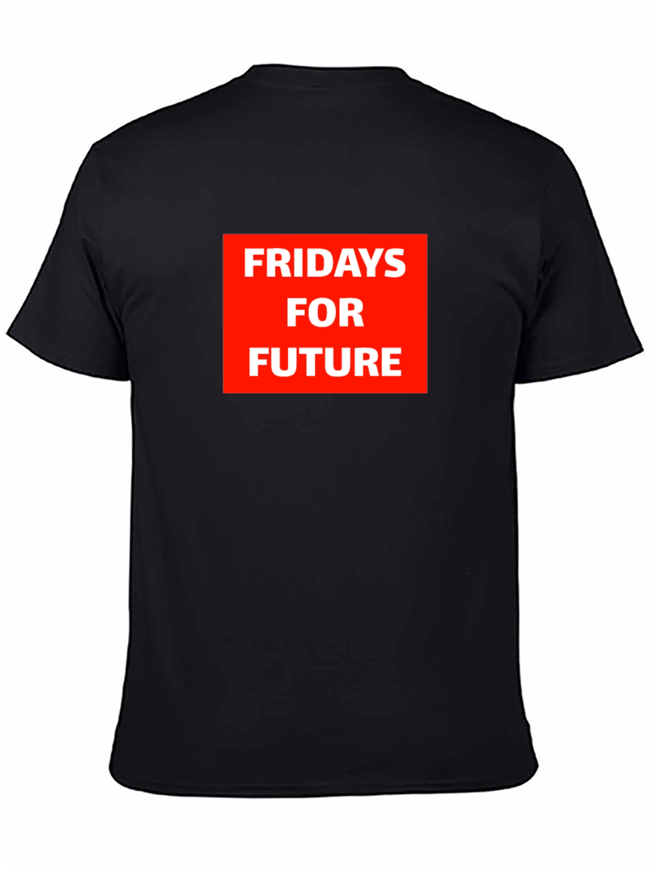 Fridays for Future Graphic Tee