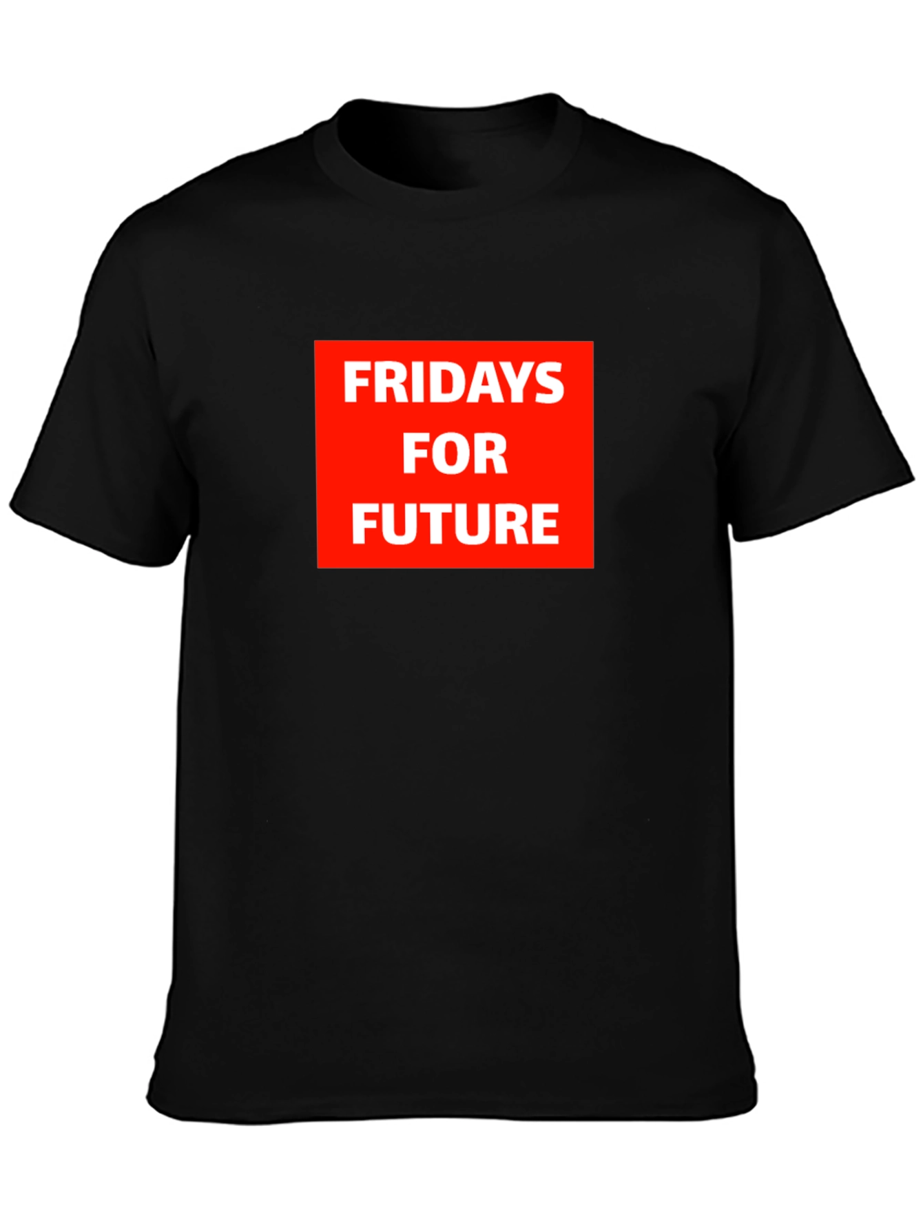 Fridays for Future Graphic Tee