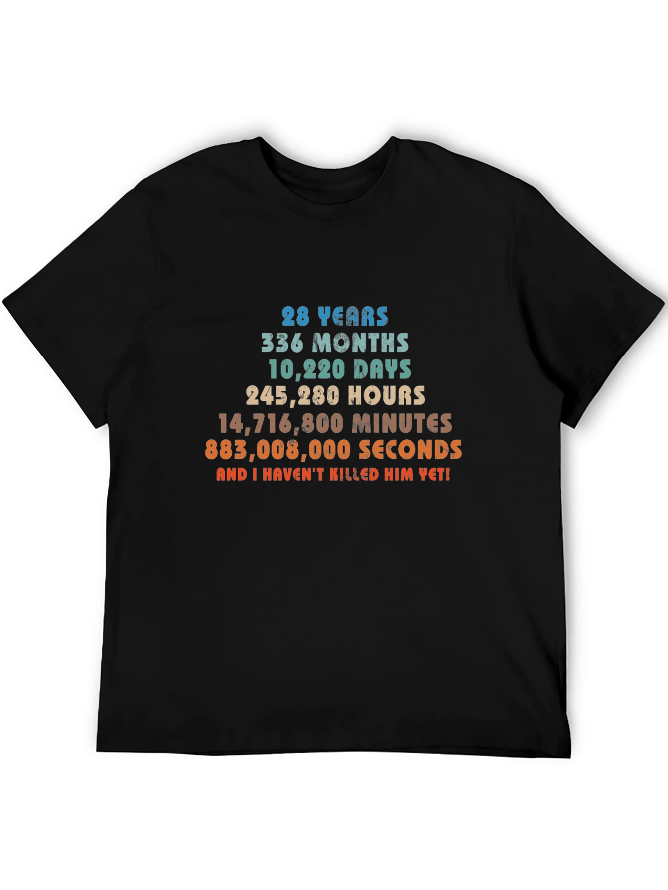 28 Years Anniversary Funny T-Shirt