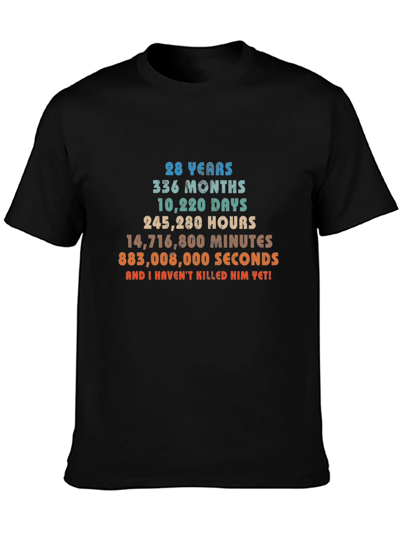 28 Years Anniversary Funny T-Shirt