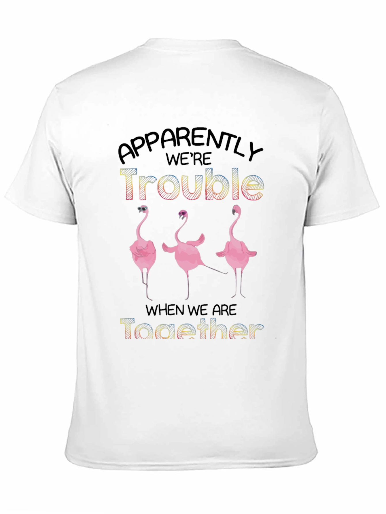 Apparently Were Trouble Flamingo Graphic Tee