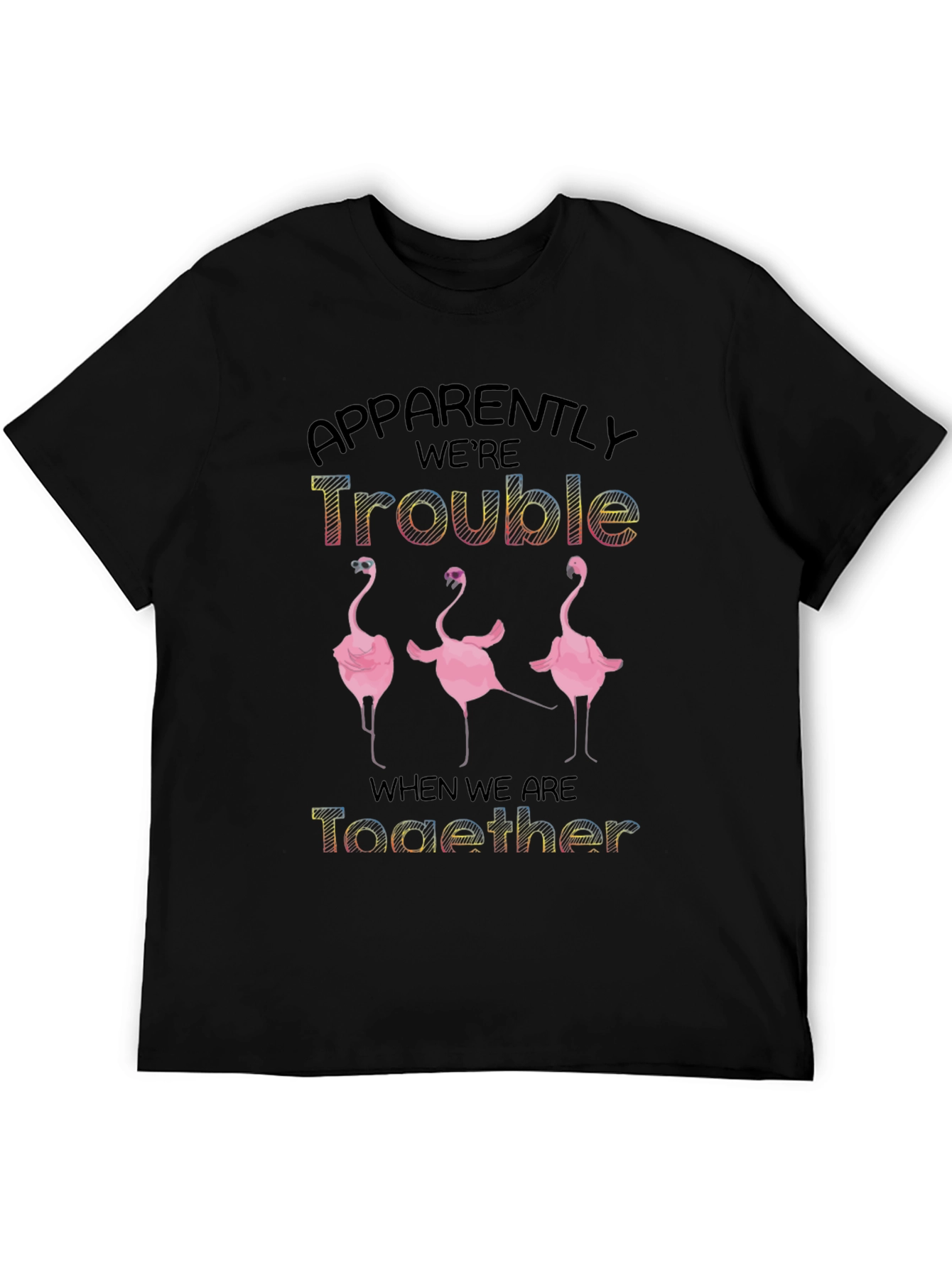 Apparently Were Trouble Flamingo Graphic Tee