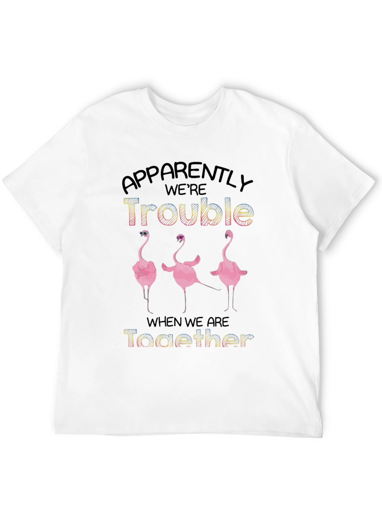 Apparently Were Trouble Flamingo Graphic Tee