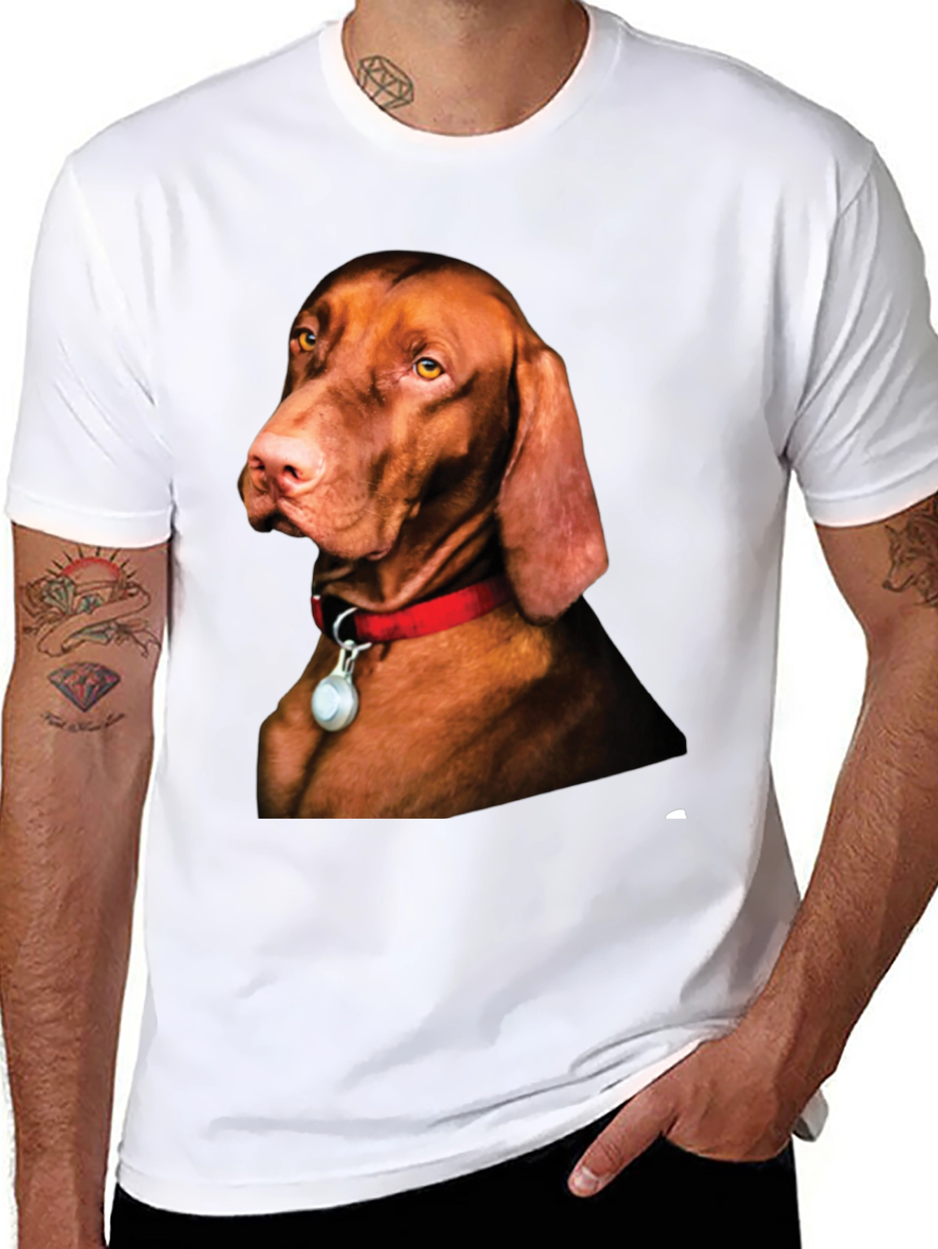 Dog Breed Graphic T-Shirt - Vizsla