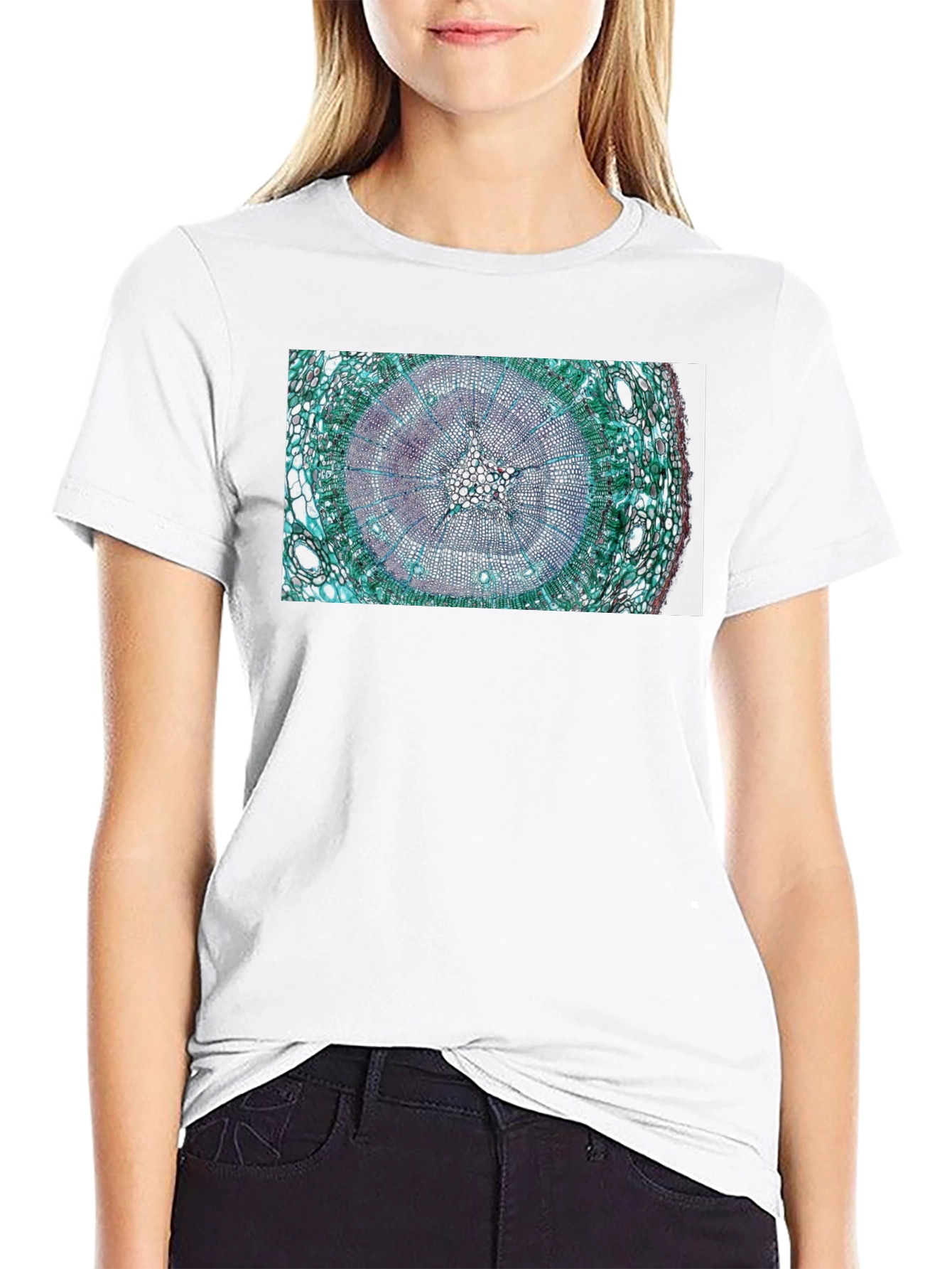 Botany Tree Ring Graphic T-Shirt