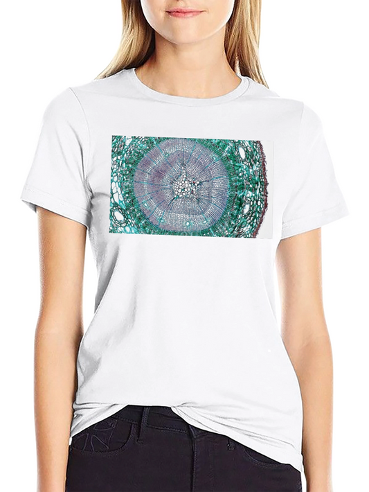 Botany Tree Ring Graphic T-Shirt