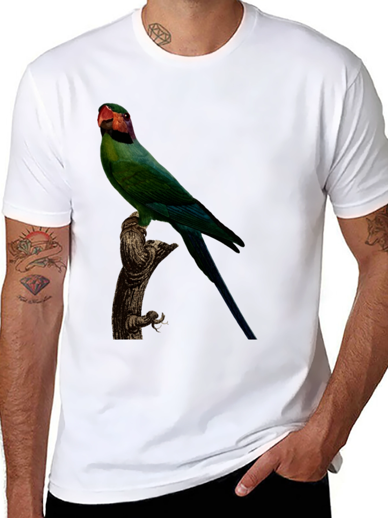 Parrot Graphic T-Shirt