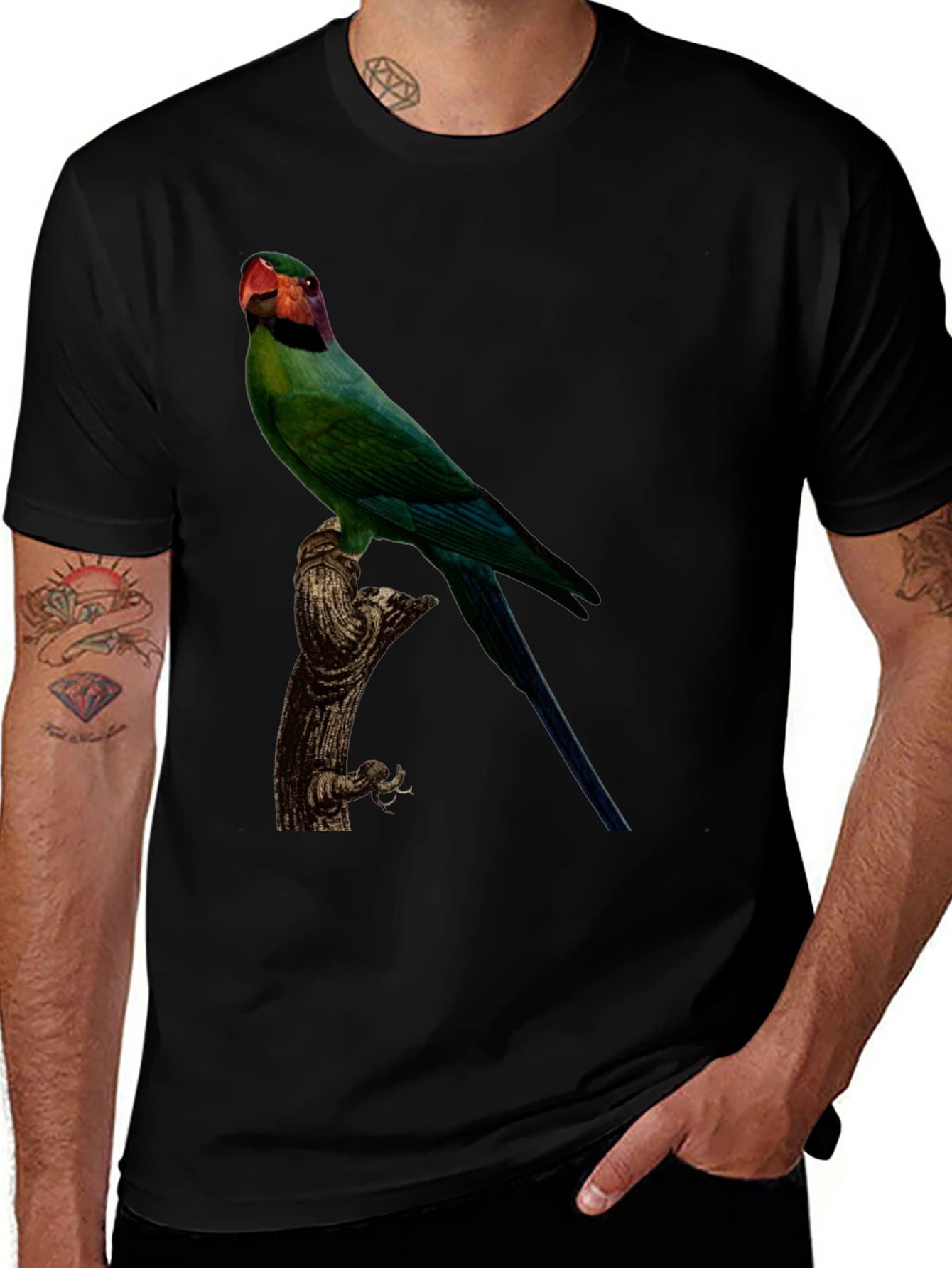 Parrot Graphic T-Shirt