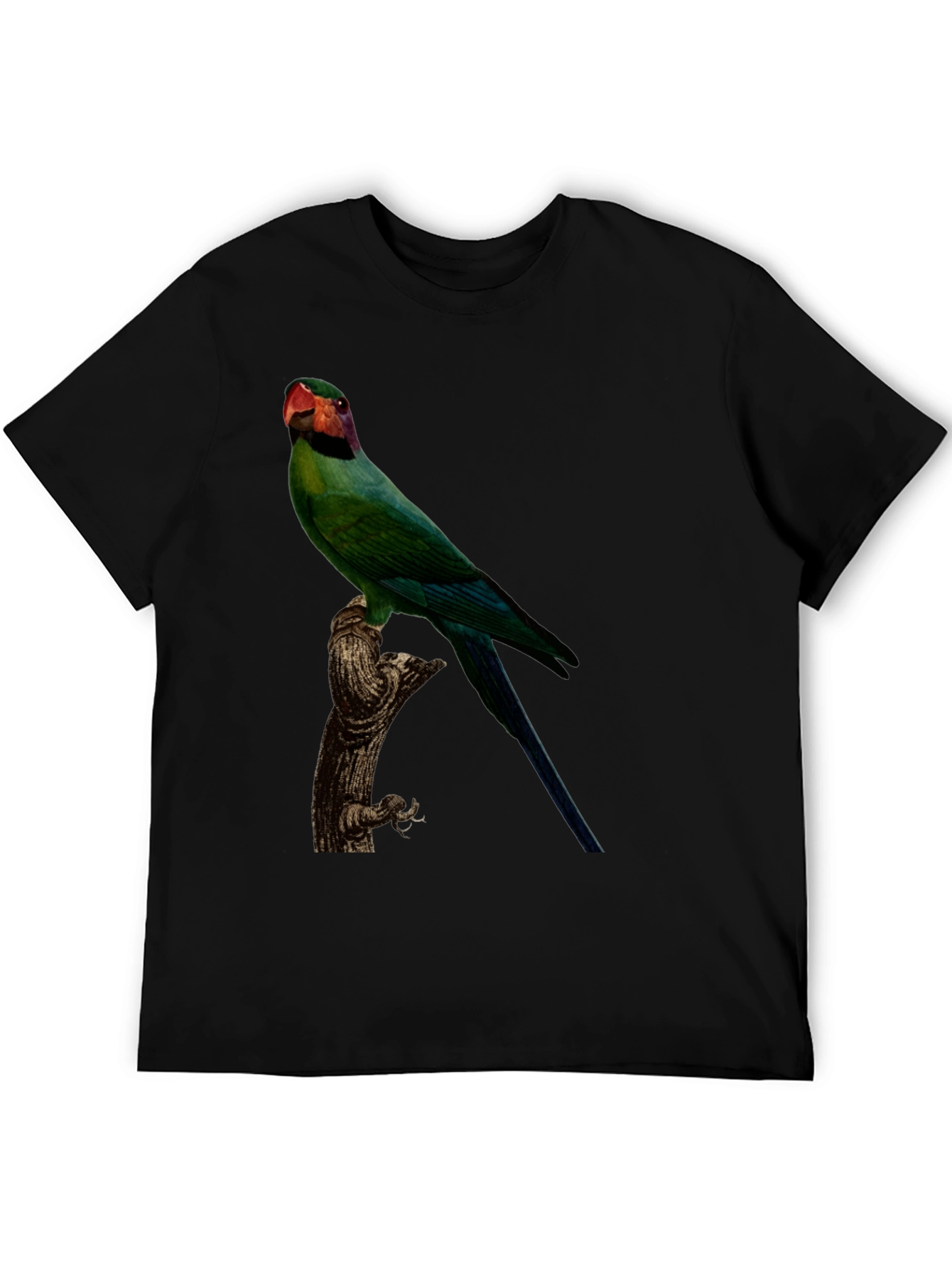 Parrot Graphic T-Shirt