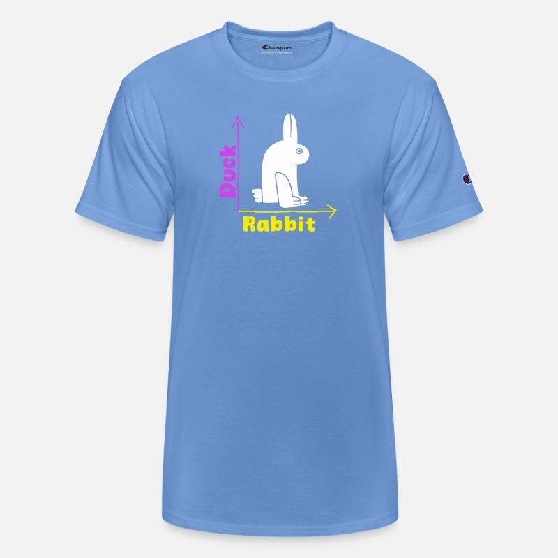 Wittgensteins Rabbit Duck Illusion