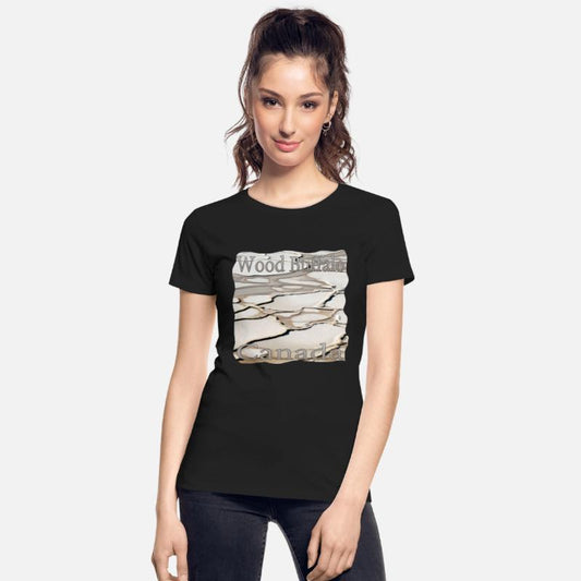 Wood Buffalo National Park Salt Plains, Canada