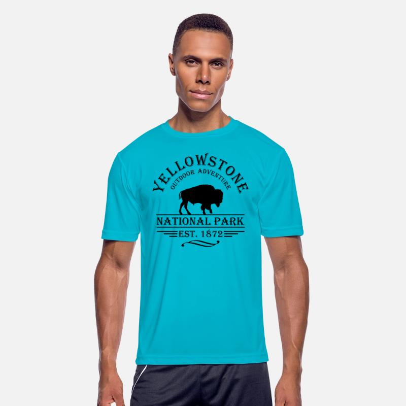 Yellowstone national park