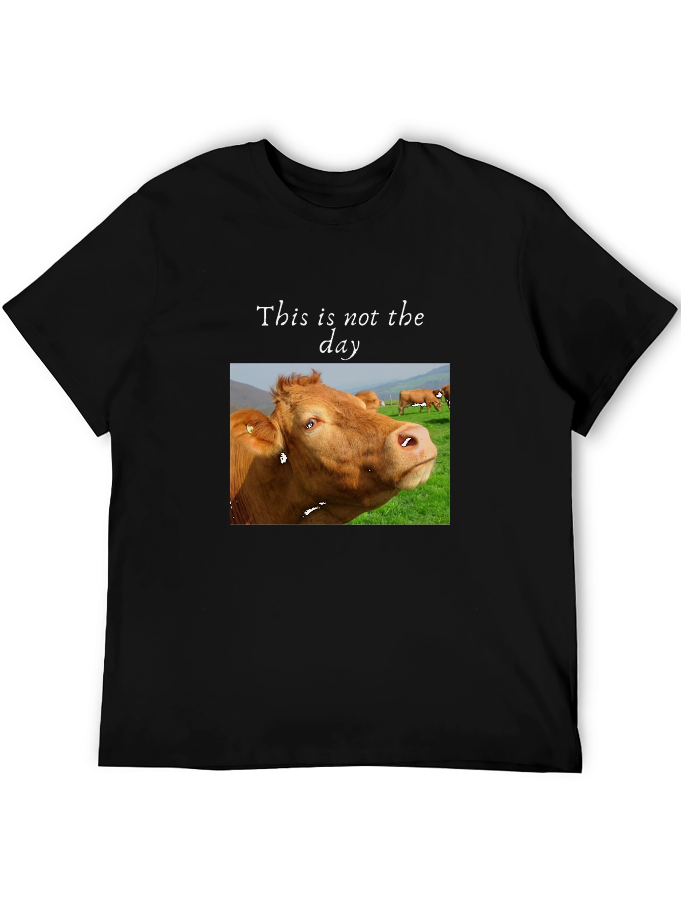 Funny Cow T-Shirt - This is not the day